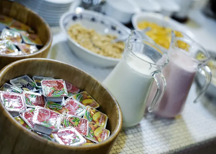 Saga 여관 그리피노